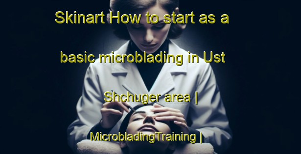 Skinart How to start as a basic microblading in Ust  Shchuger area | MicrobladingTraining | MicrobladingClasses | SkinartTraining-Russian Federation